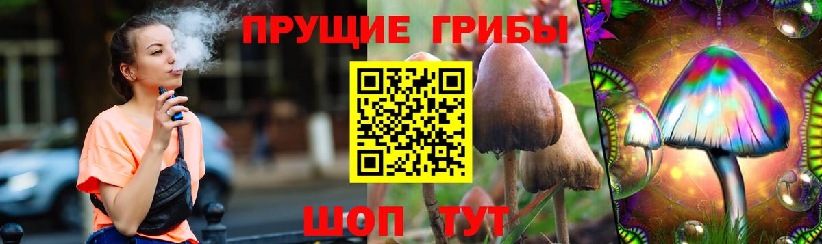 Кувандык  Псилоцибиновые грибы Cubensis  Вход с VPN 